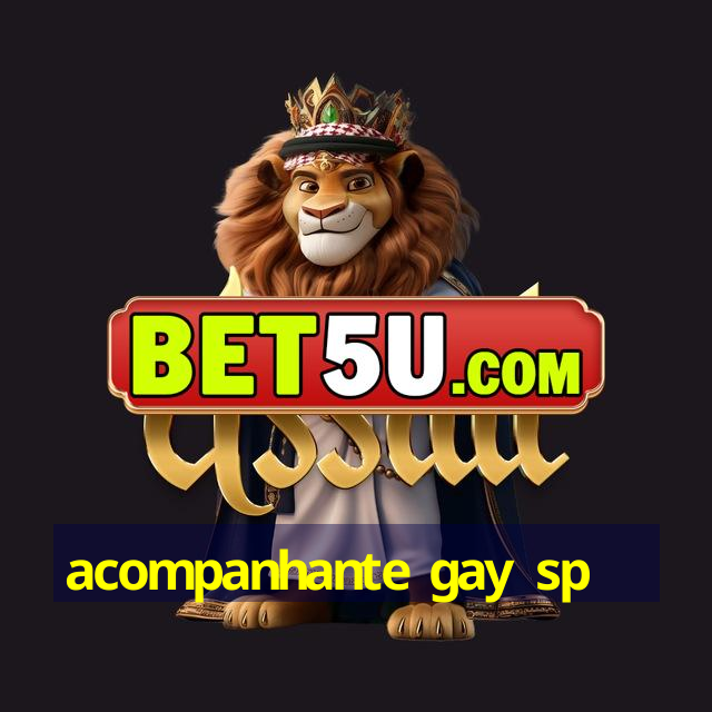 acompanhante gay sp